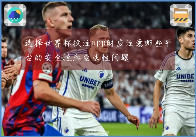 选择世界杯投注app时应注意哪些平台的安全性和合法性问题