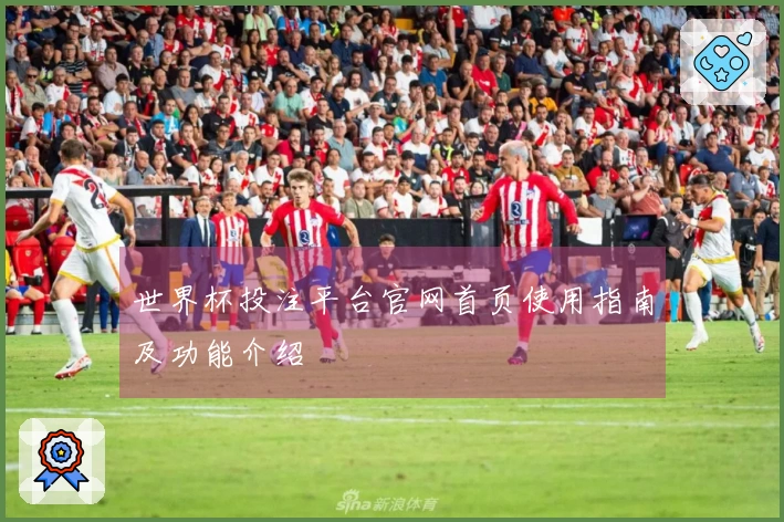 世界杯投注平台官网首页使用指南及功能介绍