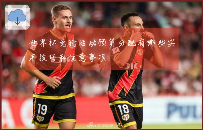 世界杯竞猜活动预算分配有哪些实用技巧和注意事项