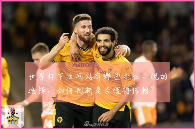世界杯下注网站有哪些合法合规的选择，如何判断是否值得信赖？