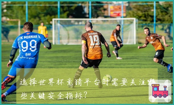 选择世界杯竞猜平台时需要关注哪些关键安全指标？