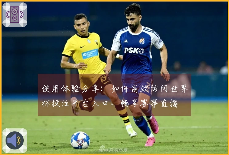 使用体验分享:如何高效访问世界杯投注平台入口,畅享赛事直播