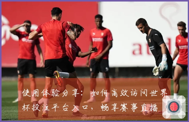 使用体验分享：如何高效访问世界杯投注平台入口，畅享赛事直播