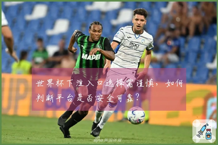 世界杯下注入口选择需谨慎，如何判断平台是否安全可靠？