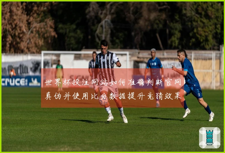 世界杯投注网站如何准确判断官网真伪并使用比分数据提升竞猜效果