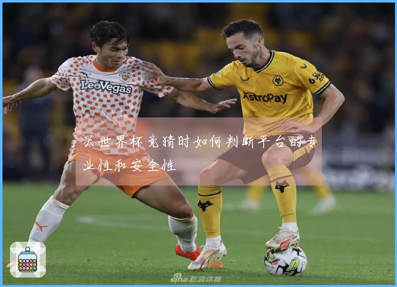 买世界杯竞猜时如何判断平台的专业性和安全性