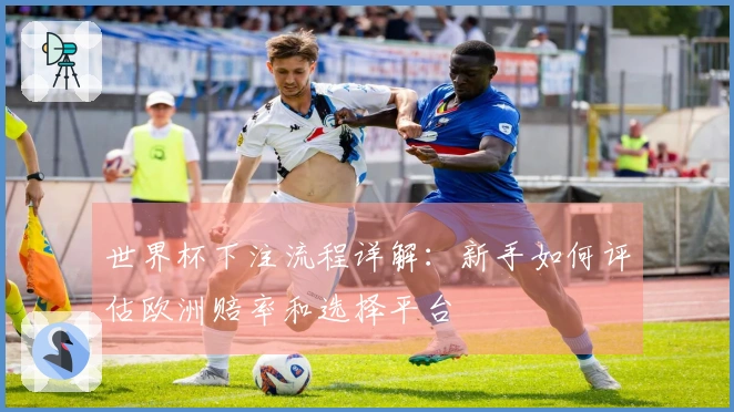 世界杯下注流程详解：新手如何评估欧洲赔率和选择平台