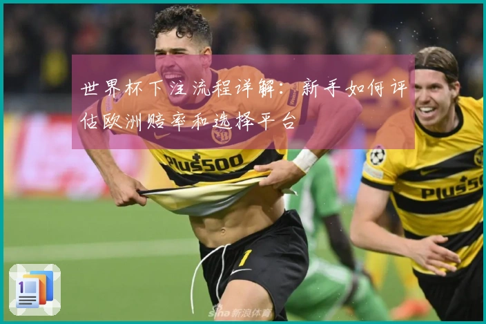 世界杯下注流程详解：新手如何评估欧洲赔率和选择平台