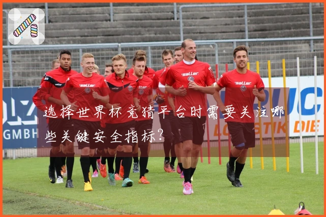 选择世界杯竞猜平台时需要关注哪些关键安全指标？