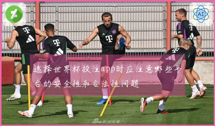 选择世界杯投注app时应注意哪些平台的安全性和合法性问题