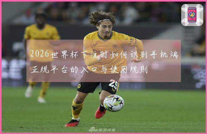 2026世界杯下注时如何识别手机端正规平台的入口与使用规则