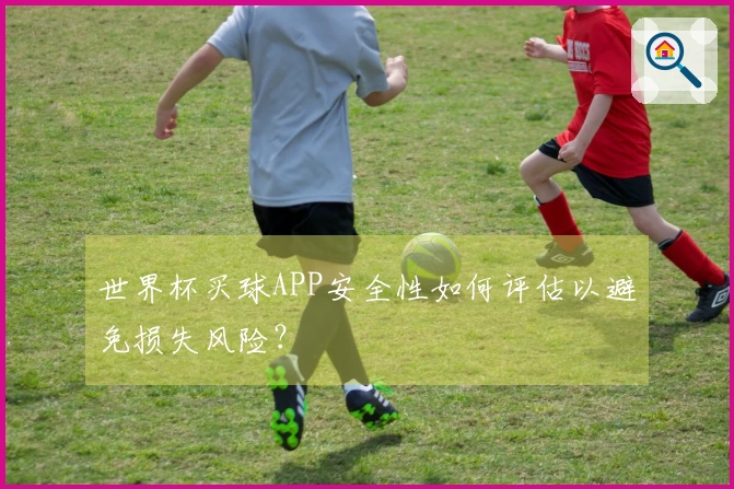 世界杯买球APP安全性如何评估以避免损失风险？