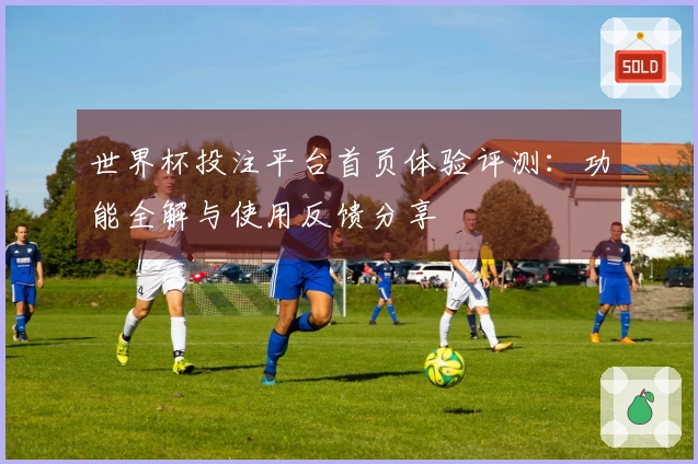 世界杯投注平台首页体验评测：功能全解与使用反馈分享