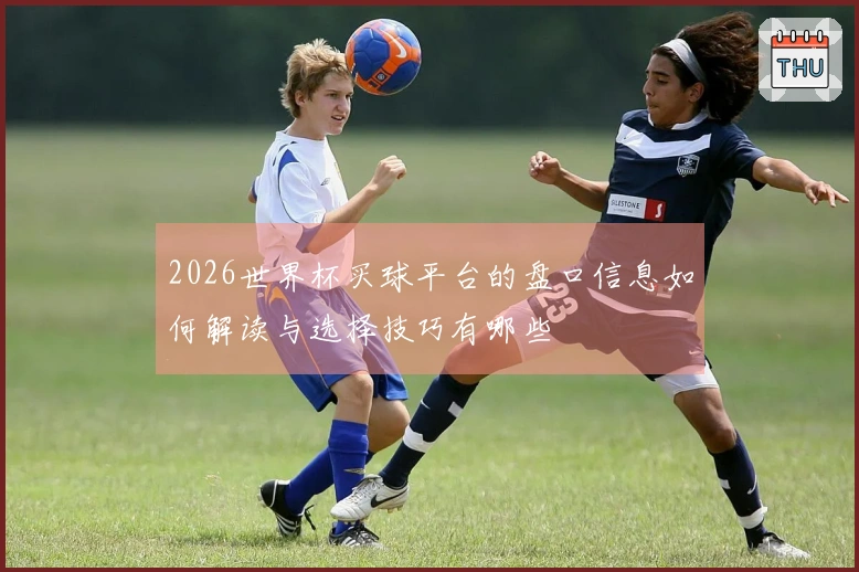 2026世界杯买球平台的盘口信息如何解读与选择技巧有哪些