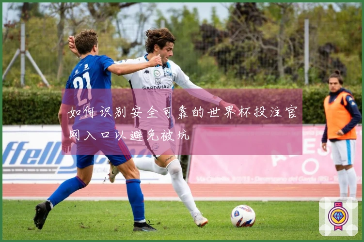 如何识别安全可靠的世界杯投注官网入口以避免被坑