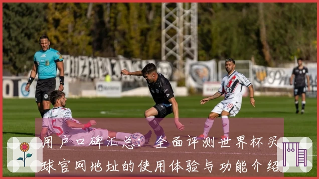 用户口碑汇总：全面评测世界杯买球官网地址的使用体验与功能介绍