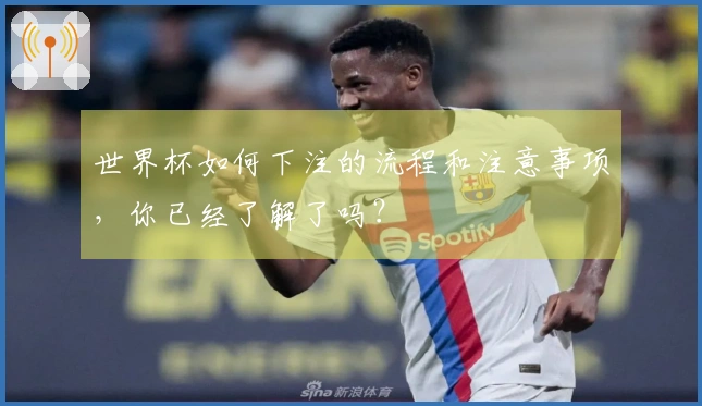 世界杯如何下注的流程和注意事项，你已经了解了吗？