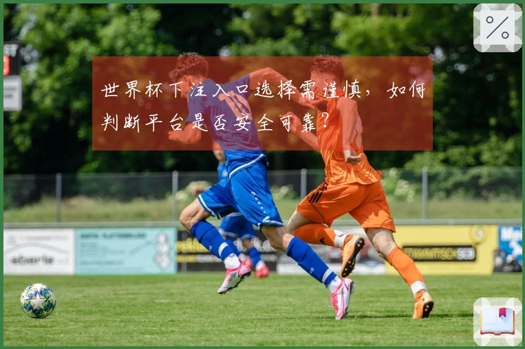 世界杯下注入口选择需谨慎，如何判断平台是否安全可靠？