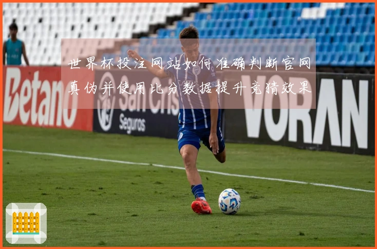 世界杯投注网站如何准确判断官网真伪并使用比分数据提升竞猜效果
