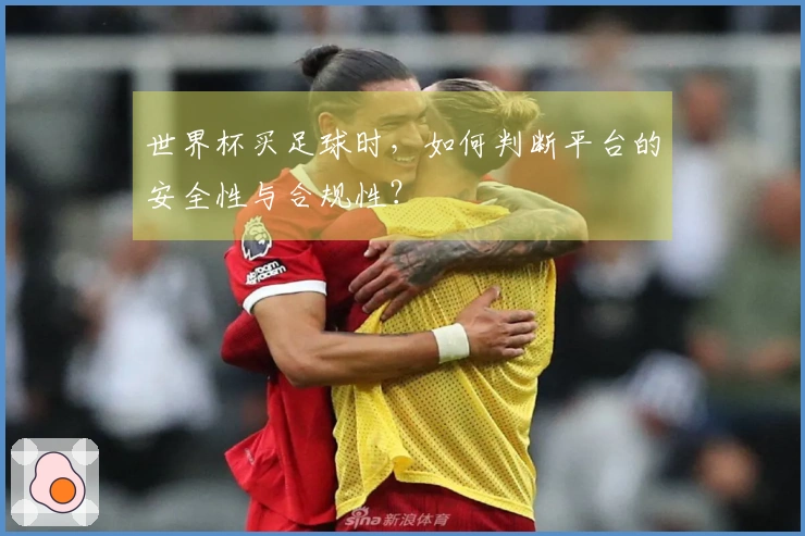 世界杯买足球时，如何判断平台的安全性与合规性？